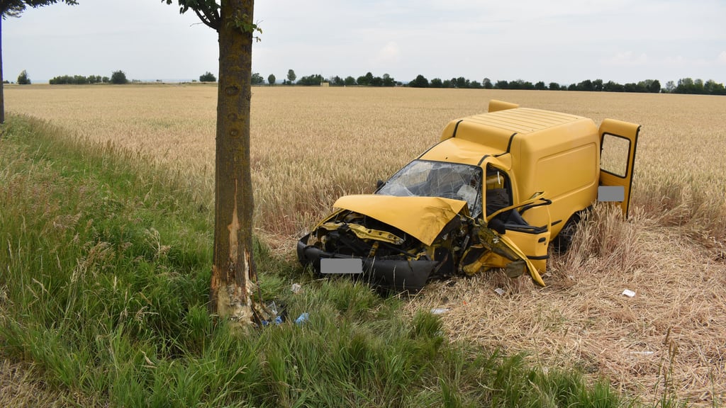 Der 61 Jahre alte Schwerstverletzte krachte bei dem Unfall auf der B180 zwischen Winningen und Schneidlingen frontal in einen Baum. Foto: