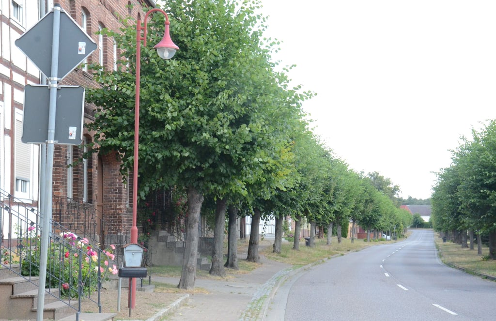 Etliche Straßenlaternen in Altmersleben sind seit März defekt. Ist der Breitbandausbau daran schuld?