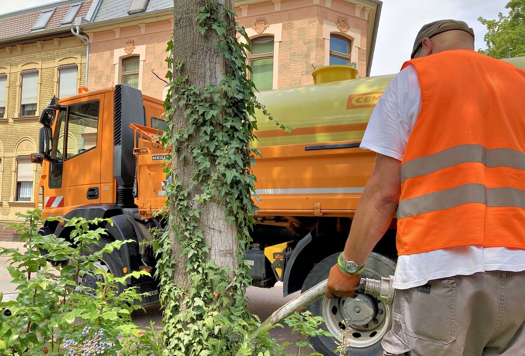 Ein Mitarbeiter des Bauhofes der Stadtverwaltung wässert die Bäume in der Friedrichstraße in Köthen.