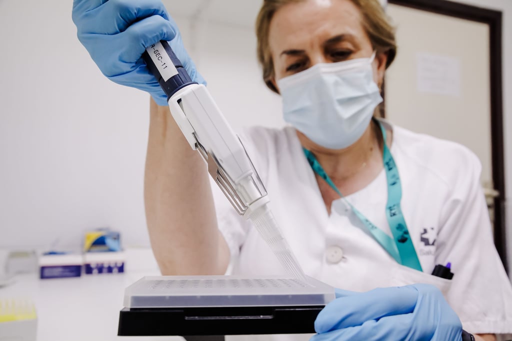 In einem Labor werden Proben auf das Virus untersucht.