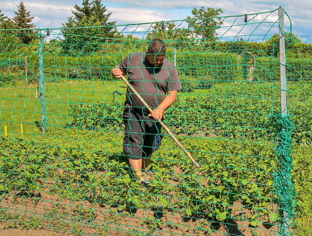 Für die Pächter von Kleingartenanlagen in Wanzleben, wie hier Ronny Drebestedt in Wanzleben, dürfte die Gärtnerei ab demnächst ein teureres Vergnügen werden.