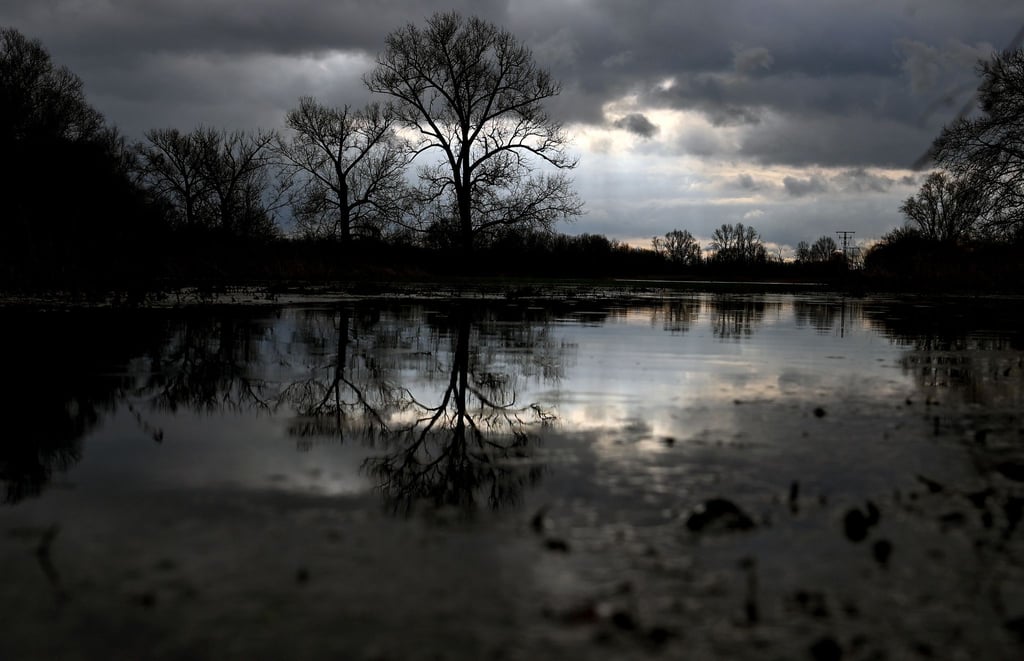 Wasser steht auf den Wiesen der Elsteraue um die Weiße Elster.