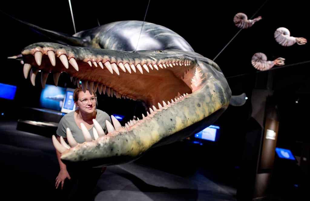 Gestatten, ein Liopleurodon: Dieses und andere Saurier-Modelle sind in einer neuen Ausstellung im Aquarium Wilhelmshaven zu sehen.
