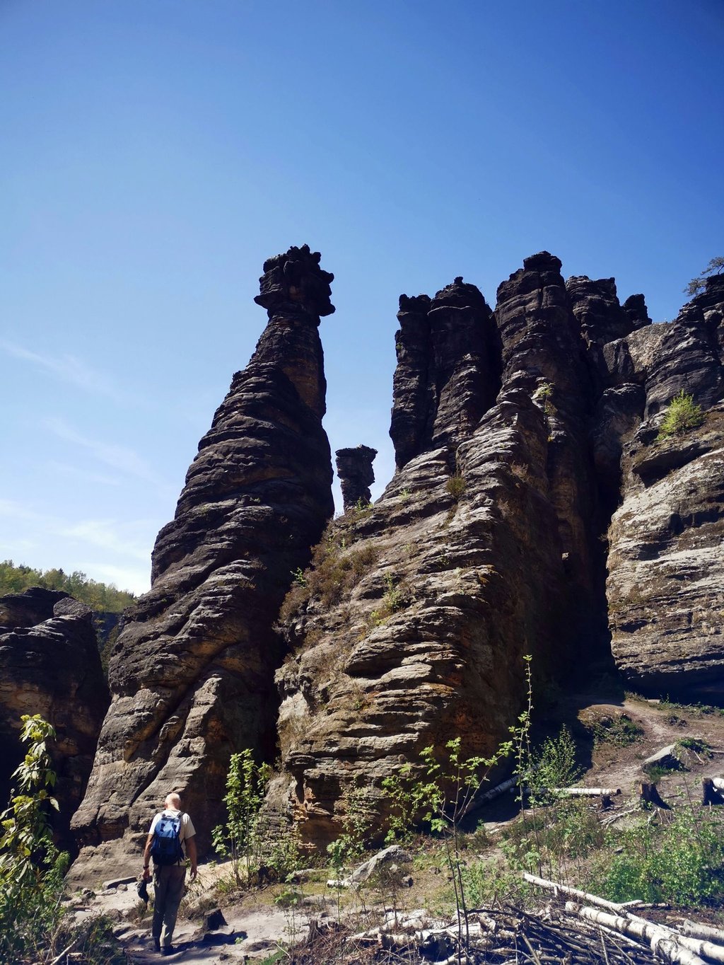 Rund um die Herkulessäulen im Bielatal in der Sächsischen Schweiz erwartet Wanderer eine bizarre Felswelt.