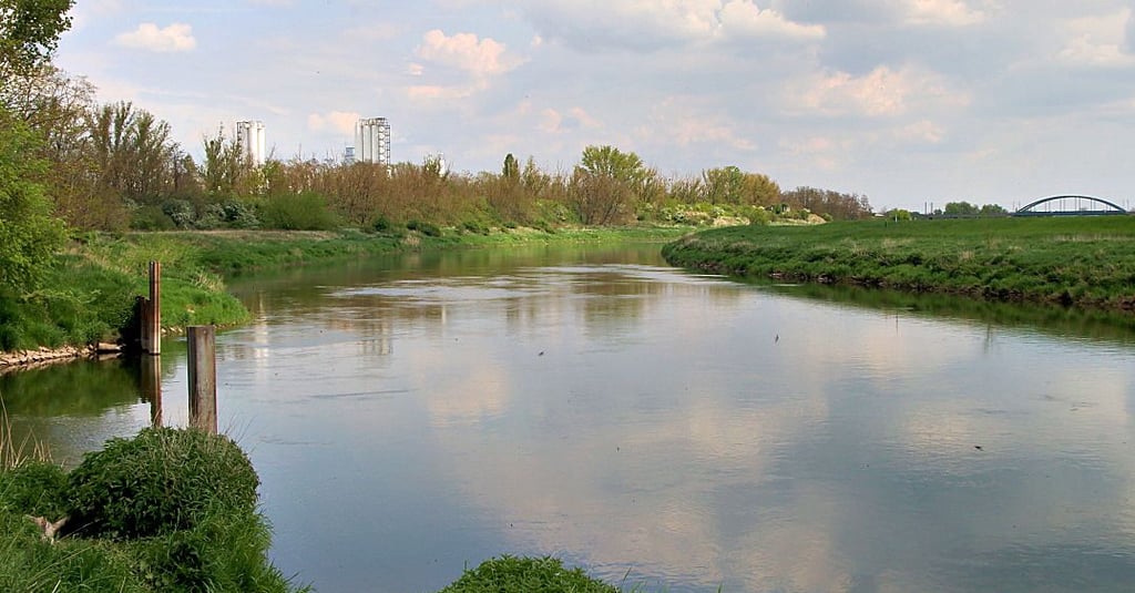 Der Naturpark Unteres Saaletal soll jetzt um Calbe und Barby erweitert werden. Die Entscheidung liegt beim Calbenser Stadtrat.