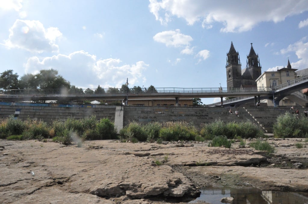 Blick auf den Domfelsen in Magdeburg. Ein Austrocknen des Flusses ist jetzt Thema in einem Hörspiel.