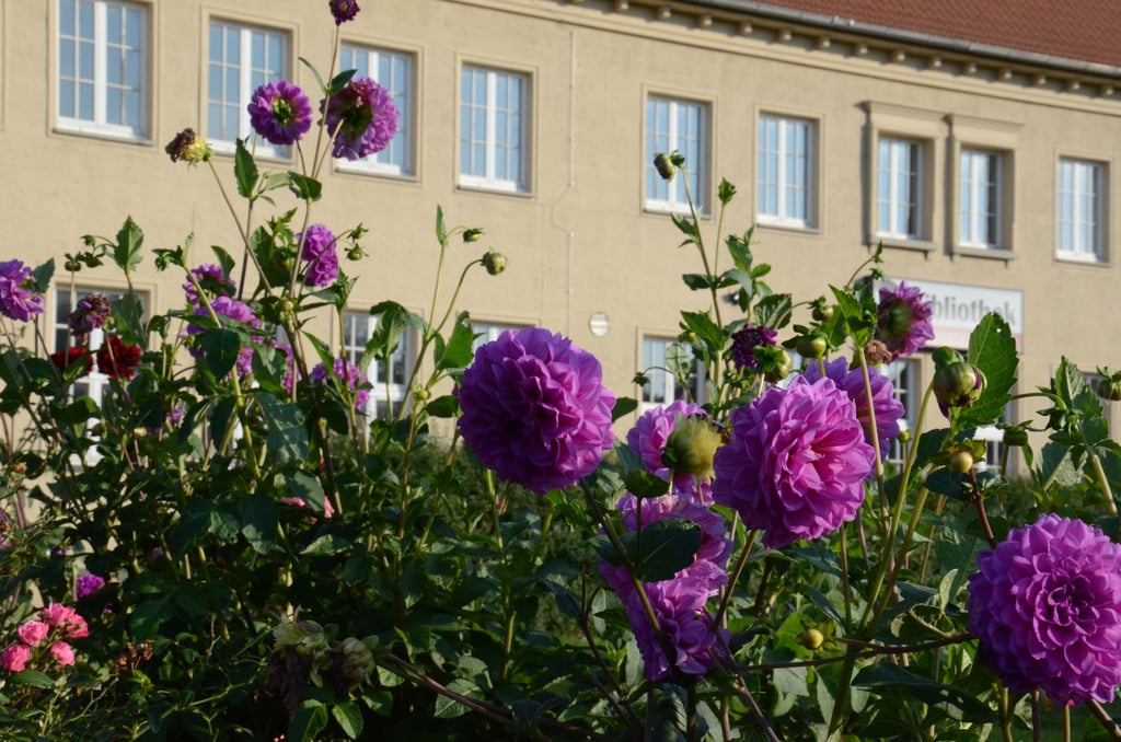 Das Kulturhaus in Kalbe ist in den zurückliegenden Jahren dank Leader-Fördermittel teilsaniert worden.