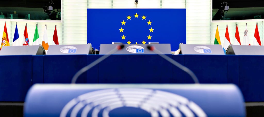 In Magdeburg haben eine Woche lang 80 junge Europäer an einer Veranstaltung des Europäischen Jugendparlaments (EJP) teilgenommen. Bei dem sogenannten Future Strategies Forum haben die 18- bis 25-Jährigen in Ausschüssen und Debatten ihre Ideen zum Europa der Zukunft zusammengetragen.