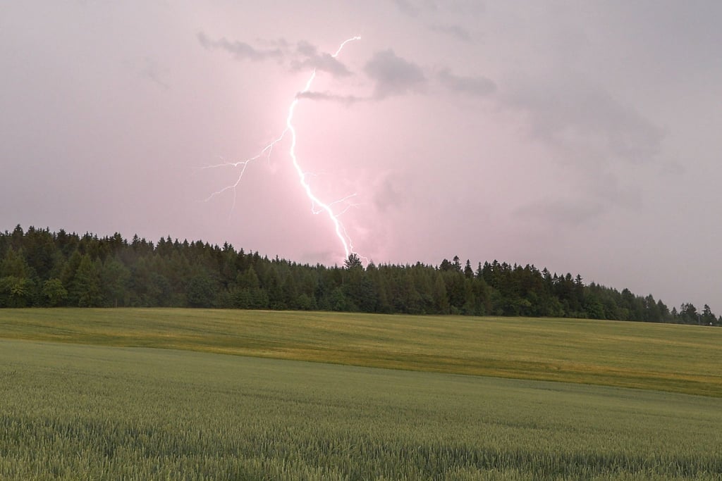 Für den Burgenlandkreis und den Harz gilt am Donnerstagnachmittag eine Unwetterwarnung. .