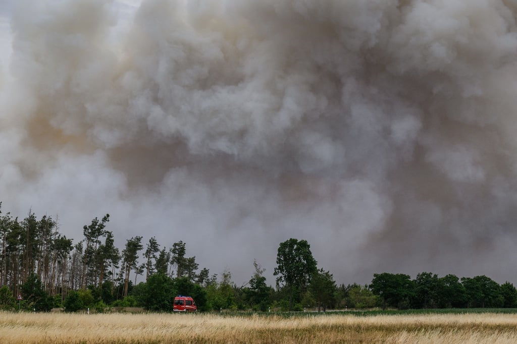 Rauch steigt aus einem Waldbrandgebiet in der Gohrischheide in den Himmel.
