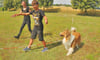 Hundetrainerin Christina Jakobs aus Magdeburg und Hündin Grace beim Training mit den Schülern in Klein Oschersleben. Can Sciennik zeigt mit, wie ein Hund mit Handkommandos geführt wird.