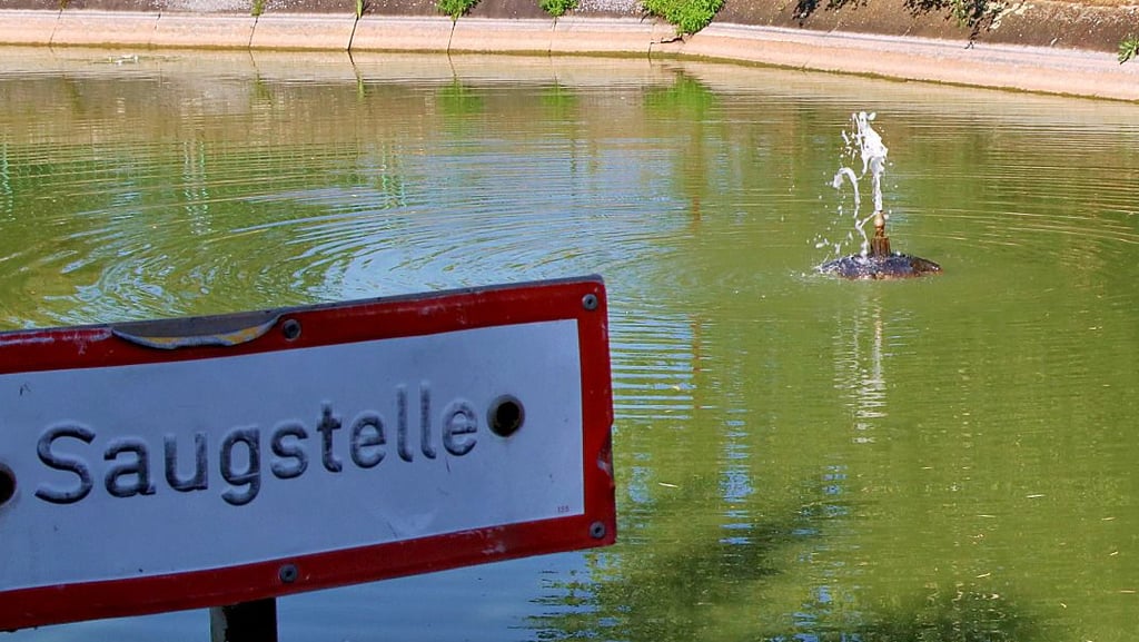 Der Teich am Tiergehege ist ein Feuerlöschteich. In den vergangenen Wochen ist hier viel Wasser verdunstet.
