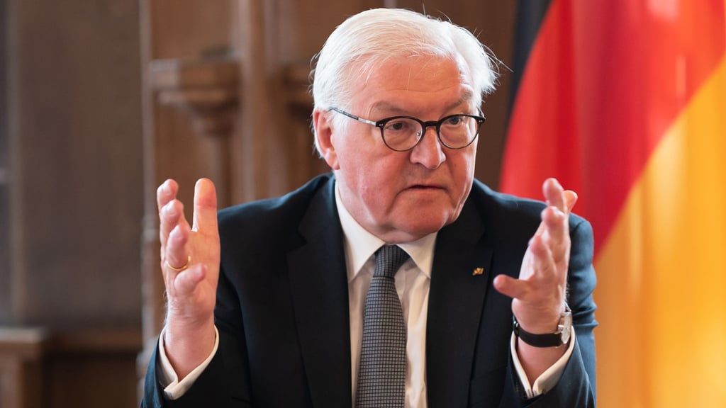Bundespräsident Frank-Walter Steinmeier spricht.