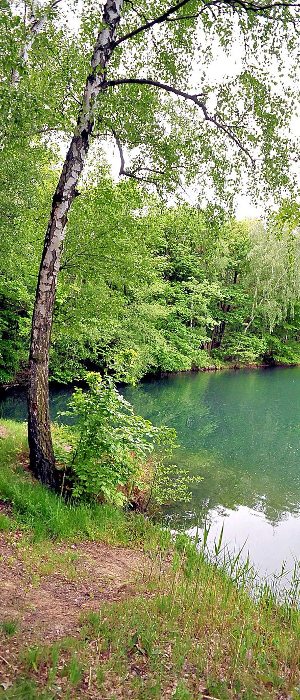 Am Blauen Auge in Bad Schmiedeberg sollte eigentlich Ende Juli ein dreitägiges Festival stattfinden.