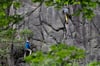 Beim Klettern in Mittelsachsen hat sich ein Felsen gelöst, in dem ein Sicherungsbolzen steckte - und den Kletterer in die Tiefe gerissen hat.