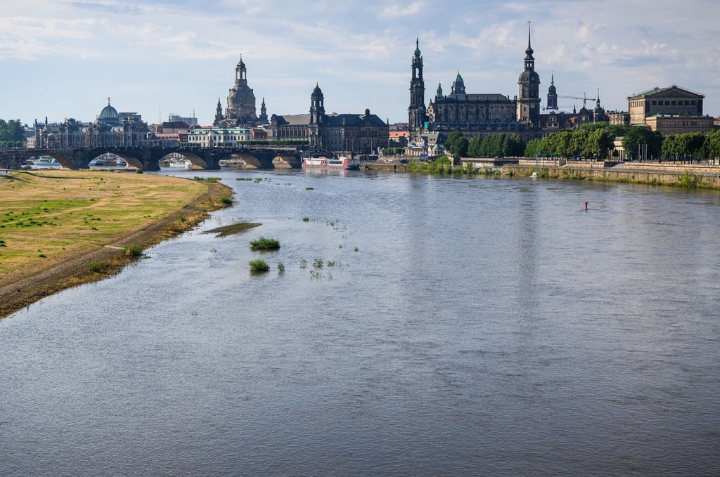 Blick über die Elbe.