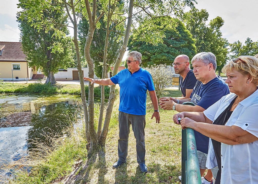 Die Einwohner von Wohlsdorf machen sich Sorgen um den Teich in ihrem Dorf.