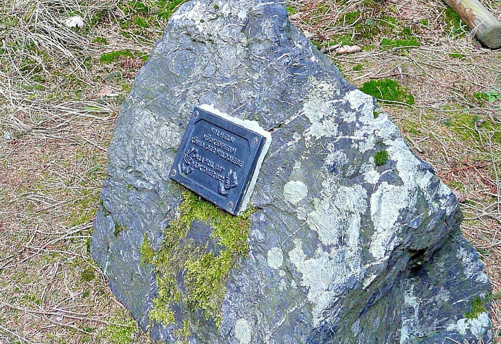 Auf dem Amkenberg bei Wietfeld zwischen Elend und Sorge erinnert immer noch ein Denkmal an die Wilddiebe im Oberharz. 