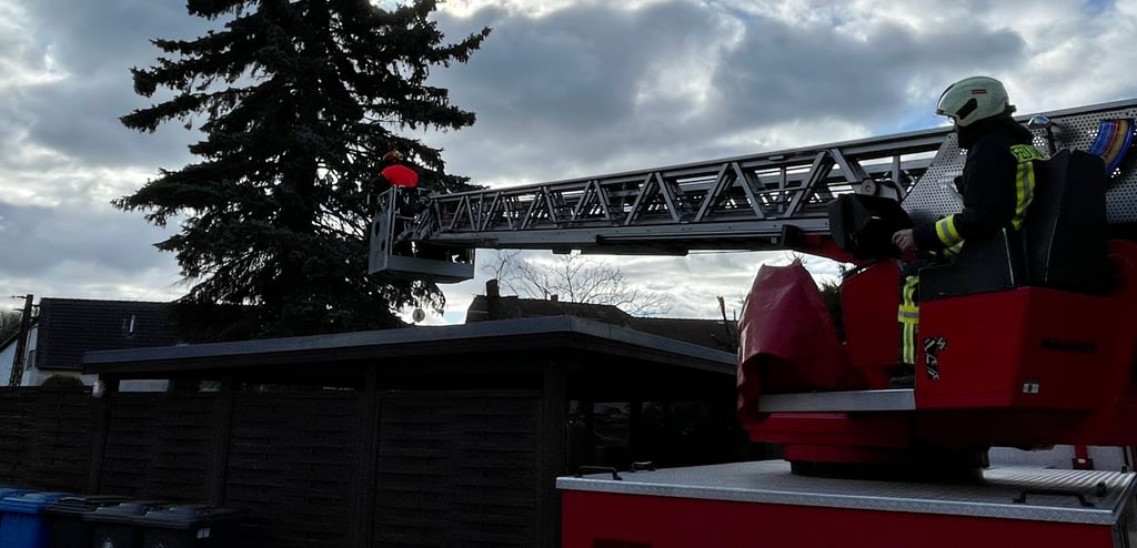 Eine Drehleiter kann, wie hier bei einem Feuerwehreinsatz in Schönebeck, unter anderem zur Abwendung von Gefahren eingesetzt werden, die von sturmgeschädigten Bäumen ausgehen.