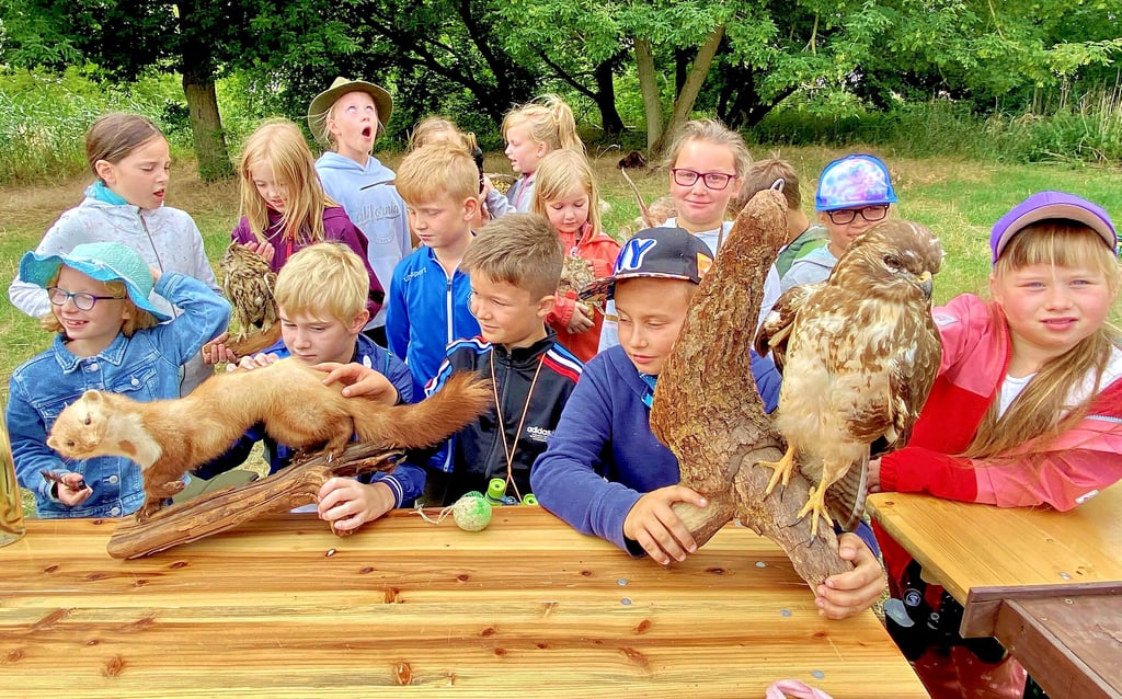 Die Kinder der Grundschule Baalberge dürfen die Präparate anfassen und lernen so Neues über die Naturwelt.