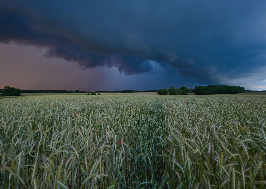 Windböen und vereinzelte Gewitter sorgen in Sachsen-Anhalt für eine kurze Pause des sommerlichen Wetters der vergangenen Tage.