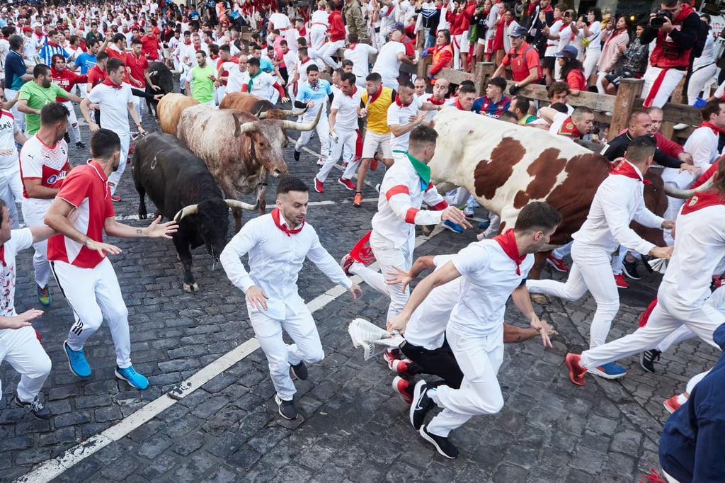 Weiß gekleidete junge Männer mit roten Halstüchen laufen beim „Sanfermines“-Fest bei der Stierhatz mit den Tieren.