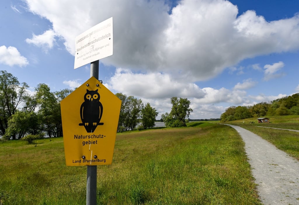 Ein Schild weist an einem Deich an der Elbe auf das Naturschutzgebiet Biosphärenreservat Flusslandschaft Elbe-Brandenburg hin.