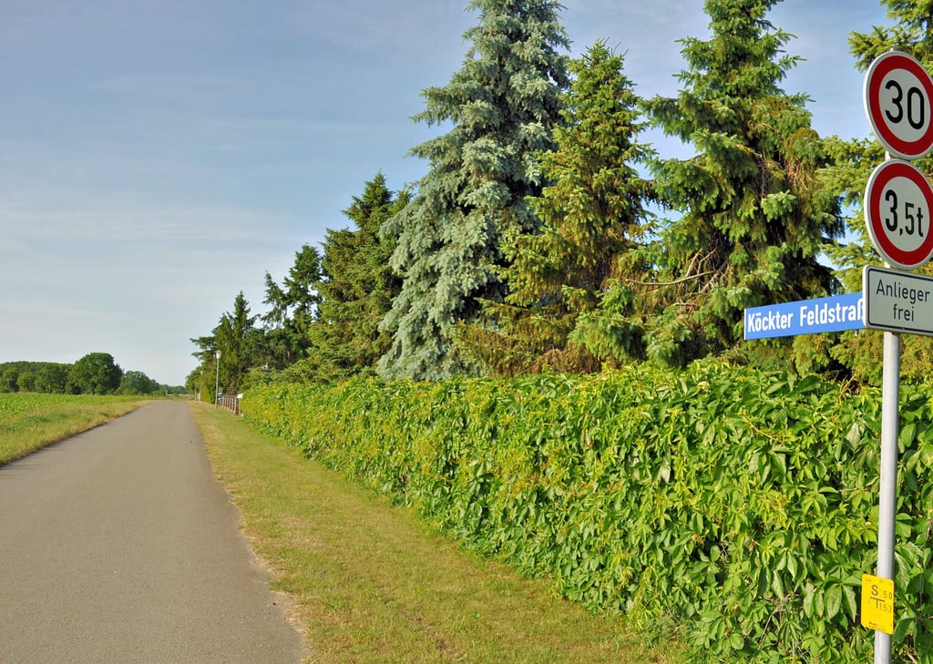 Eine Seite der Köckter Feldstraße ist bebaut, auf der anderen soll Bauland entstehen. Der Ortschaftsrat lehnte das mehrfach ab. In der vierten Runde gab es nun ein ganz knappes „Ja“, dem sich auch der Stadtrat anschloss.