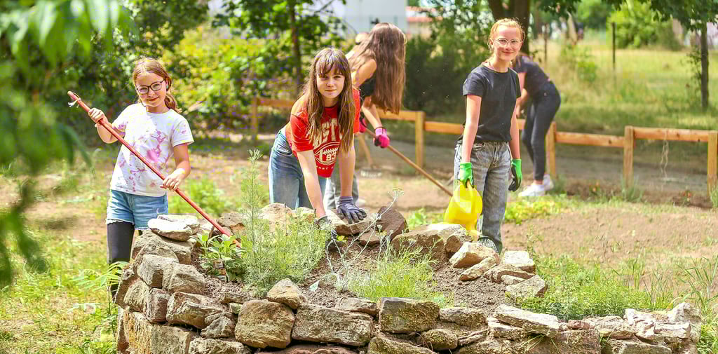 Johanna (v.l.), Hermine und Linn arbeiten an der Kräuterschnecke im Schulgarten des Burgstadtgymnasiums Querfurt.