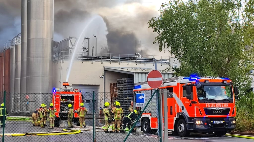 Die Halle eines Verpackungsherstellers stehe in Flammen, teilte die Feuerwehr mit. Sie brannte vollständig auf rund 3000 Quadratmetern.