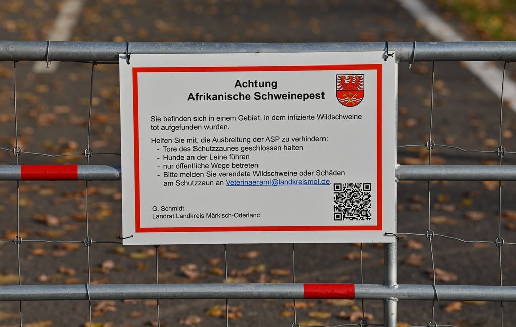 Ein Hinweisschild zur Afrikanischen Schweinepest (ASP) ist an einem Schutztor angebracht.