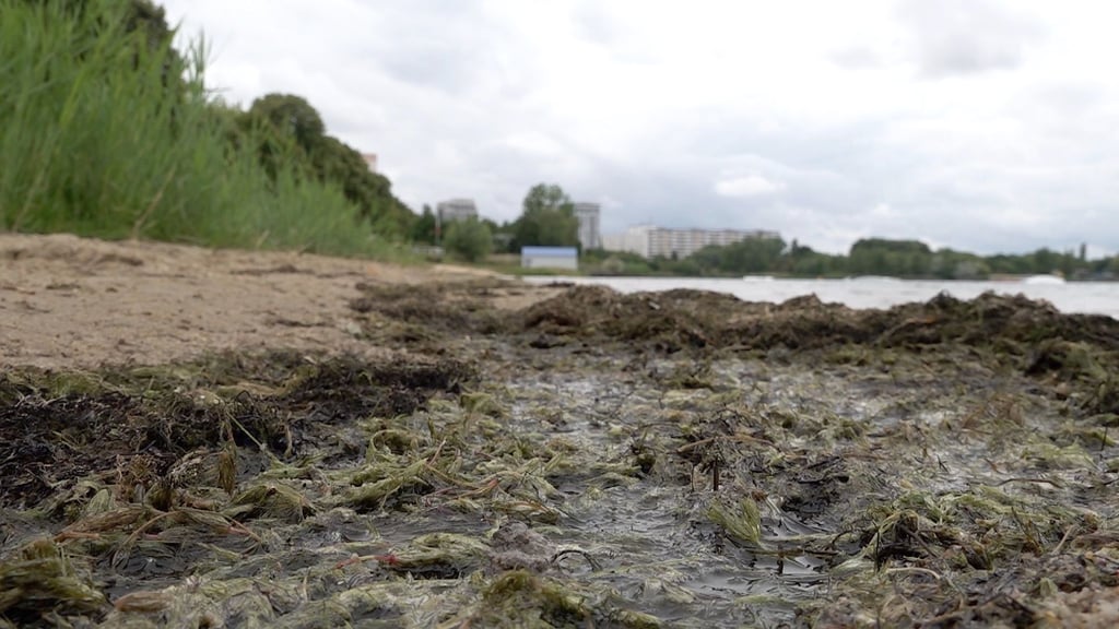 Grund sind Bakterien, die bei Wasserproben entdeckt worden sind, wie die Stadtverwaltung am Freitag (8. Juli 2022) mitteilte.