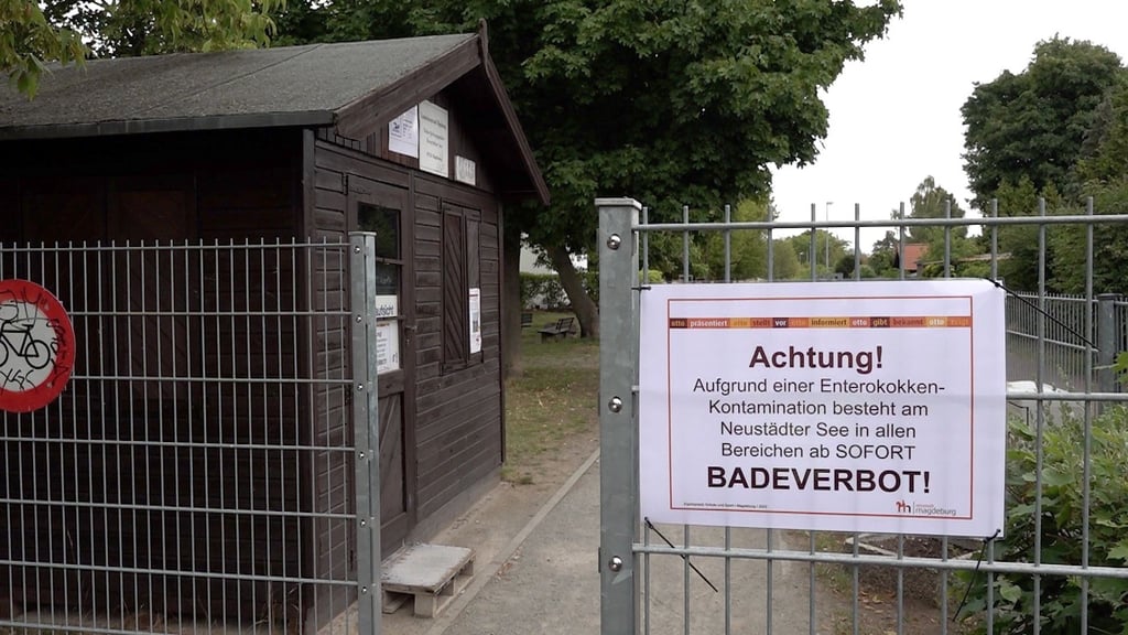 Warum der nun festgestellte Wert in der Probe so hoch ist, ist noch unklar.