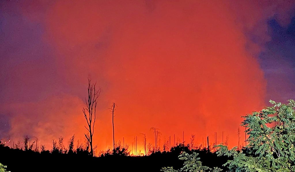 Der Lichtschein eines Brandes im munitionsverseuchten Wald in Brandenburg Mitte Juni. Auch in Sachsen-Anhalt gelten viele Wälder als munitionsverseucht.
