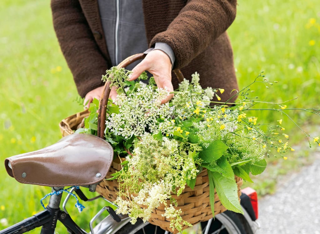 Wildkräuter müssen nicht weit transportiert werden und brauchen keine Verpackungen. Auch enthalten sie in der Regel mehr Vitamine und Mineralstoffe als Kulturgemüse.