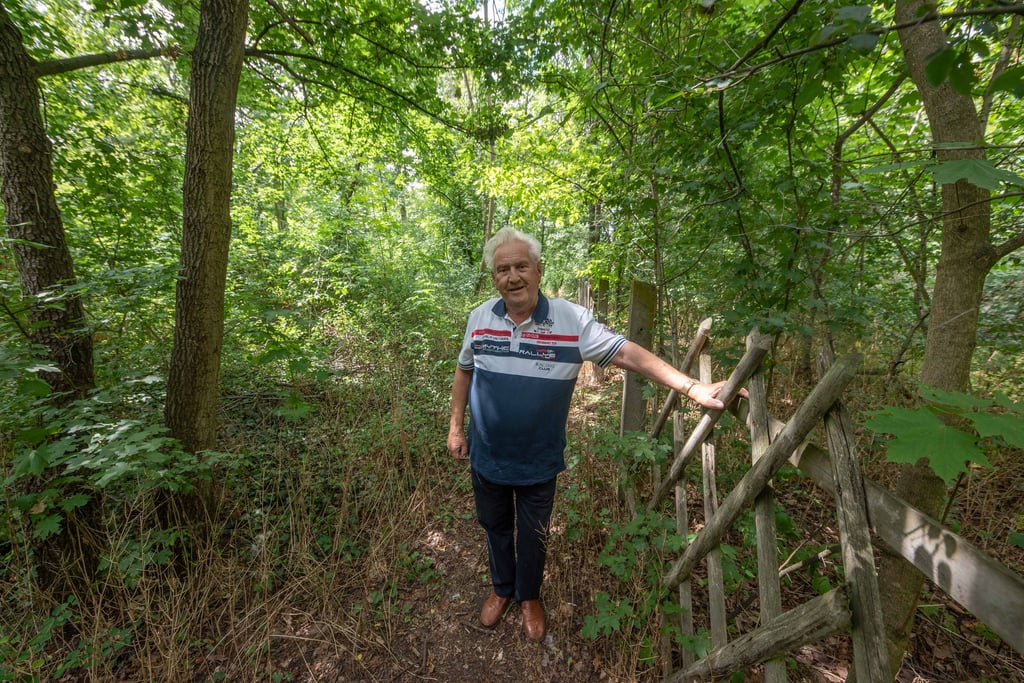 Am Dessauer Kiefernweg iost vom einstigen Park nichts mehr übrig: Nur noch ein Trampelpfad führt durch das zugewucherte Dickicht mahnt Hans-Friedrich Druschke.