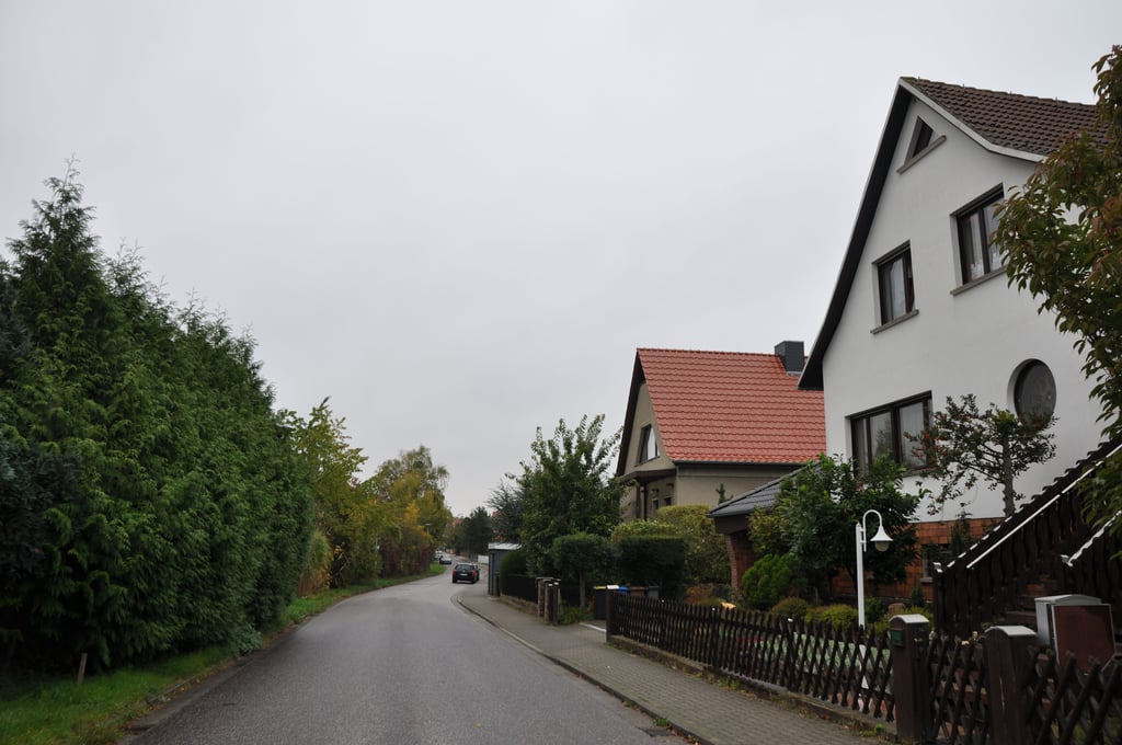 Rechts Eigenheime, links grün - noch. Am Magdeburger Buchenweg entstehen weitere Eigenheime in einem von Grundwasserproblemen gezeichneten Viertel. Gebaut werden darf nur kellerlos.