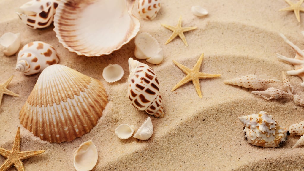 Urlauber müssen bei der Wahl ihrer Mitbringsel gut aufpassen. In einigen Ländern ist das Sammeln von Steinen oder Muscheln verboten und Reisenden drohen hohe Geldstrafen.