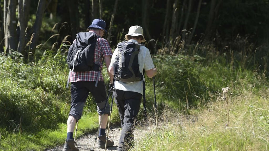 Weil sie die Erreger der Schweinepest unüberlegt in den Nationalpark Harz einschleppen könnten, drohen Touristen nun massive Einschränkungen.