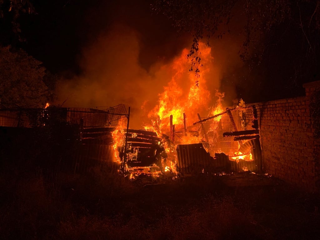 In dem Feuer in Halberstadt im Harz sind zwei Tiere qualvoll zu Tode gekommen. Die Hühner waren in ihrem Stall verendet.
