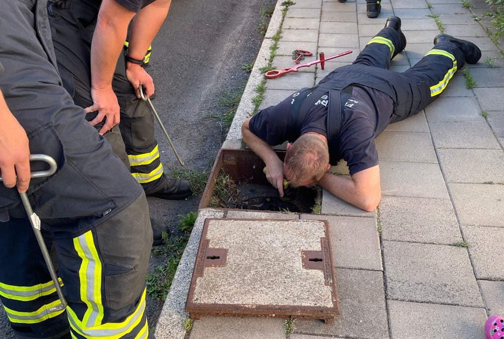 Die Freiwillige Feuerwehr Magdeburg-Rothensee musste in der Fallersleber Straße ein Tier in Not retten.