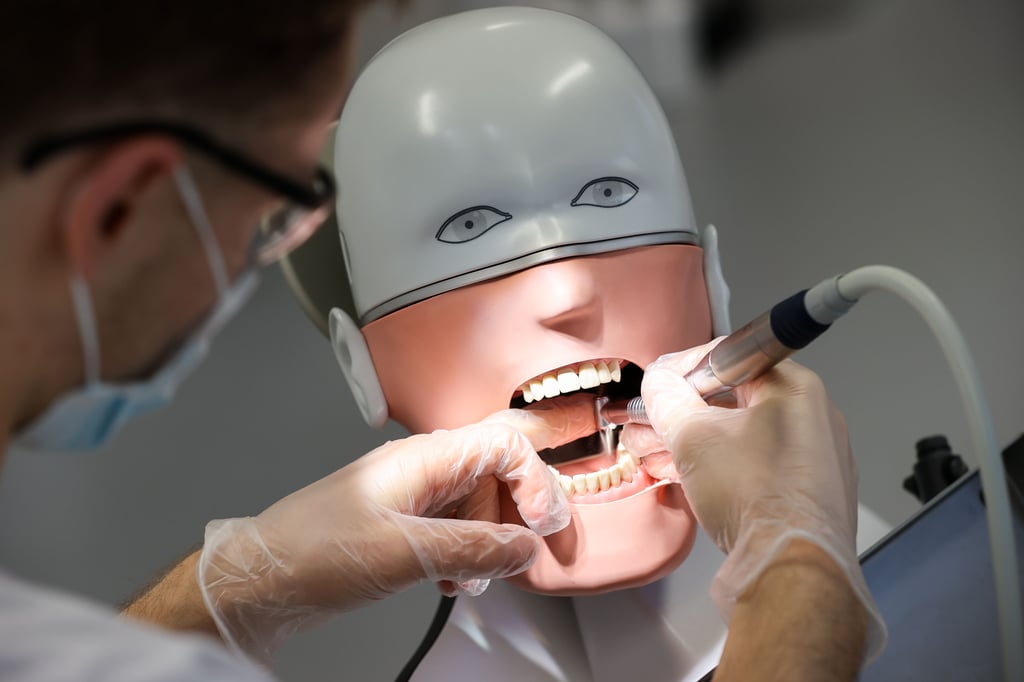 Wird nach den Puppen an Gardelegenern herumgebohrt? Die Stadt wirbt um Studenten, die später einmal als Zahnärzte in der Hansestadt arbeiten sollen.