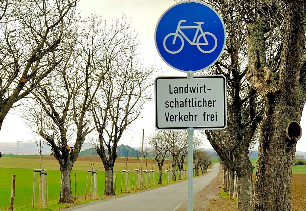 Die Fahrradstraße zwischen Warnstedt und Timmenrode. Autos und Motorräder haben dort nichts zu suchen – Landmaschinen dürfen sie befahren.