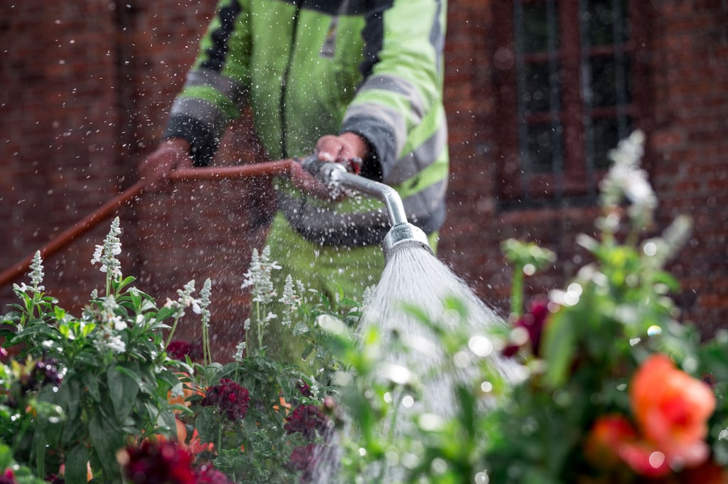 Gießen nur morgens und abends: Der Saalekreis hat das Wassersparen angeordnet.