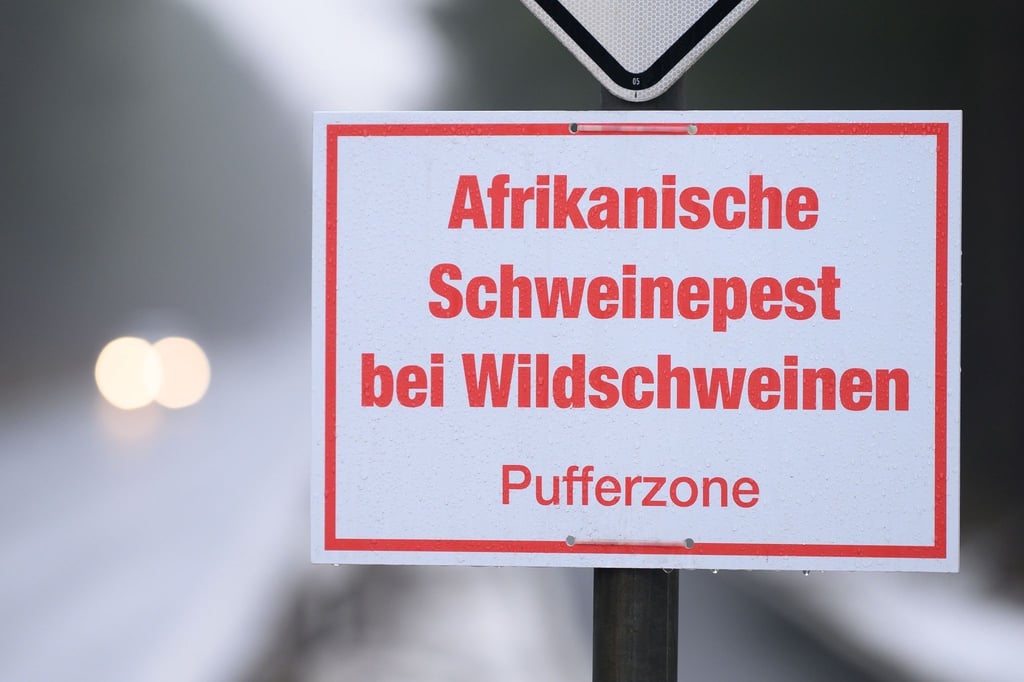 „Afrikanische Schweinepest bei Wildschweinen, Pufferzone“ ist auf einem Schild geschrieben.