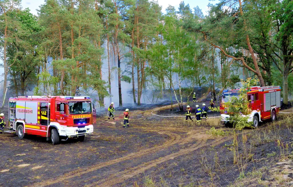 Ödland und Wald brennen Donnerstagabend am Warthekreisel