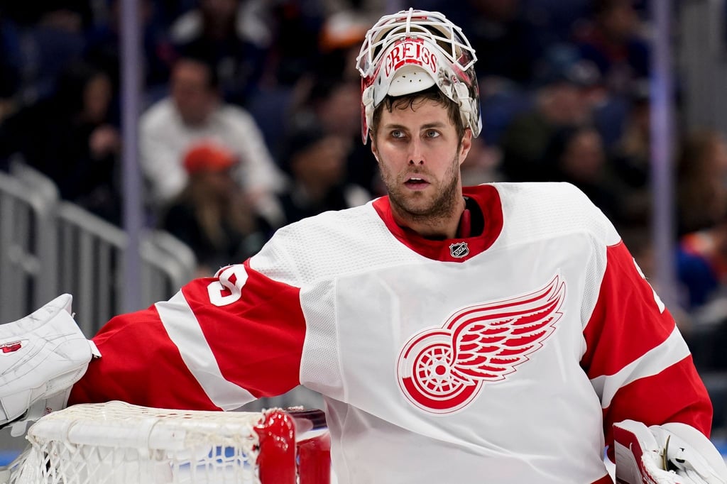 Eishockey-Torwart Thomas Greiss hat einen Einjahresvertrag bei den St. Louis Blues unterzeichnet.