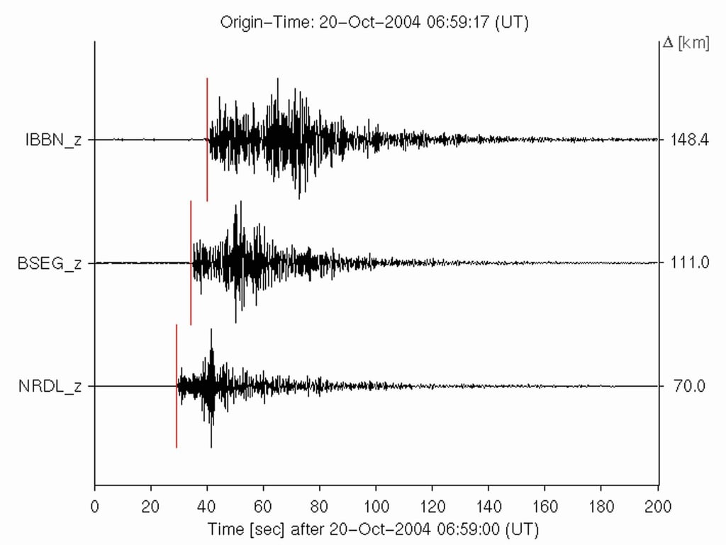 Ausschläge auf einem Seismographen: In Ecuador bebte die Erde. (Symbolbild)