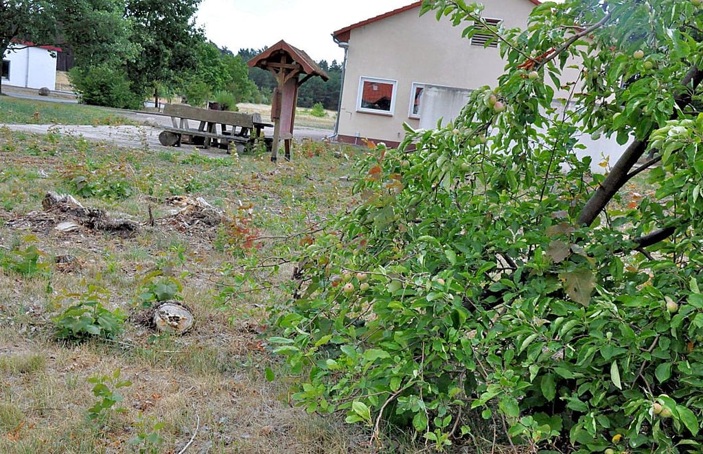 Die Stürme zum Jahresbeginn haben kaum etwas übrig gelassen vom Großgrün auf dem Brietzer Feuerwehrgelände. Nunmehr sind neue Pflanzen bestellt.