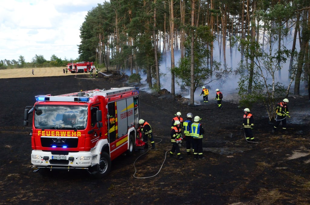 Der Ödland- und Waldbrand nahe Salzwedel breitete sich auf einer Fläche von zwei Hektar aus.